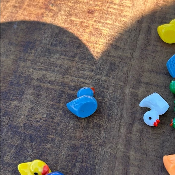 Meet your Posher, Julie - Picture 1 of 1